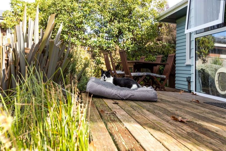 Photo of property in 20 Hammerichs Road, Rapaura, Blenheim, 7272