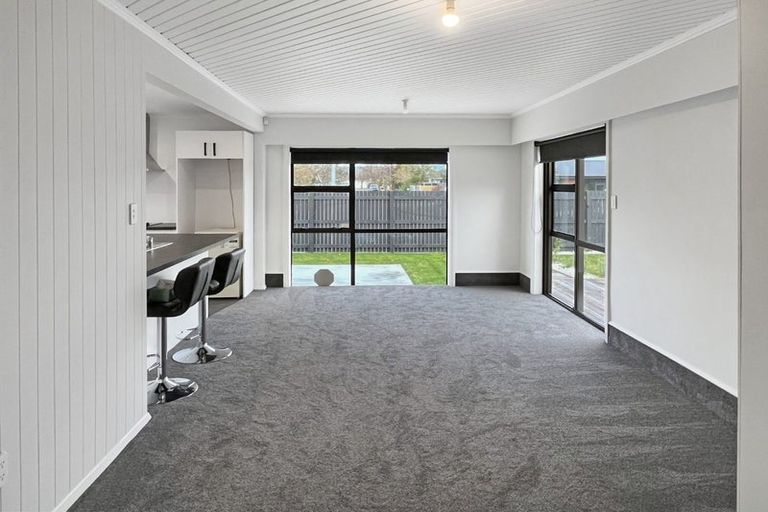 Photo of property in 107 Limbrick Street, Terrace End, Palmerston North, 4410