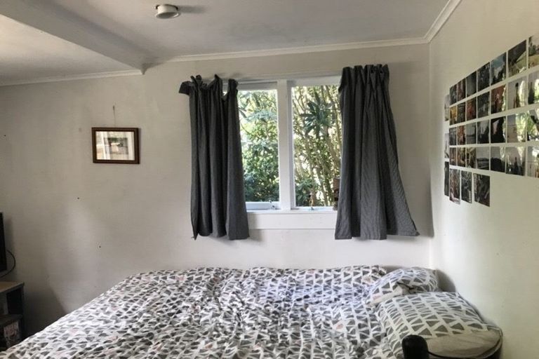 Photo of property in 10 Niger Street, Grey Lynn, Auckland, 1021