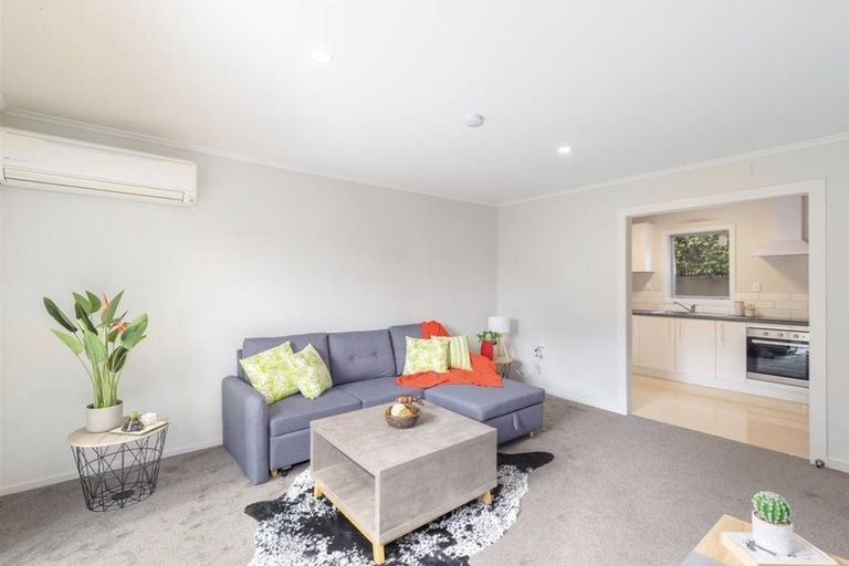 Photo of property in 3/53 Mathesons Road, Phillipstown, Christchurch, 8011