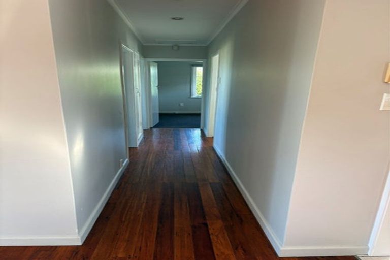 Photo of property in 48 James Laurie Street, Henderson, Auckland, 0612
