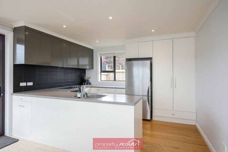 Photo of property in 6 Kinvig Street, Andersons Bay, Dunedin, 9013