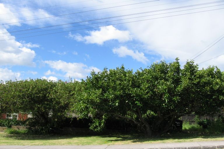 Photo of property in 117 Exmouth Road, Northcote, Auckland, 0627