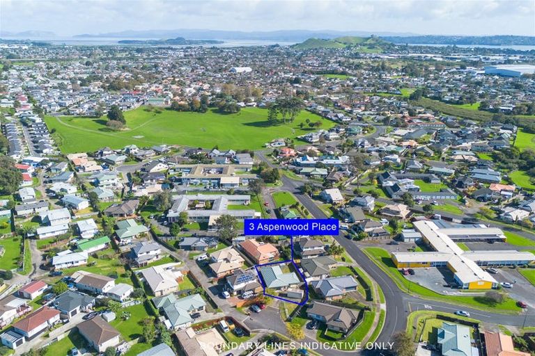 Photo of property in 3 Aspenwood Place, Favona, Auckland, 2024