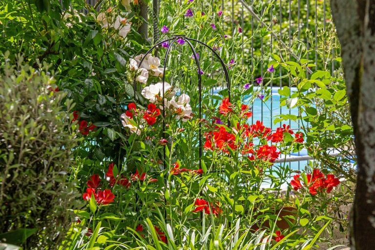 Photo of property in 341 Manaia Road, Homebush, Masterton, 5885