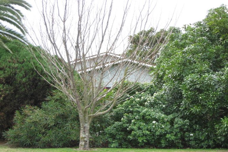 Photo of property in 21 Allens Lane, Clive, 4102