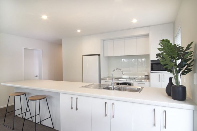 Photo of property in Riverena Flats, 377 Barbadoes Street, Christchurch Central, Christchurch, 8011