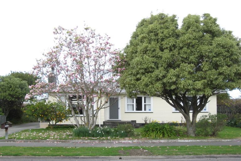 Photo of property in 49 Bill Hercock Street, Pirimai, Napier, 4112
