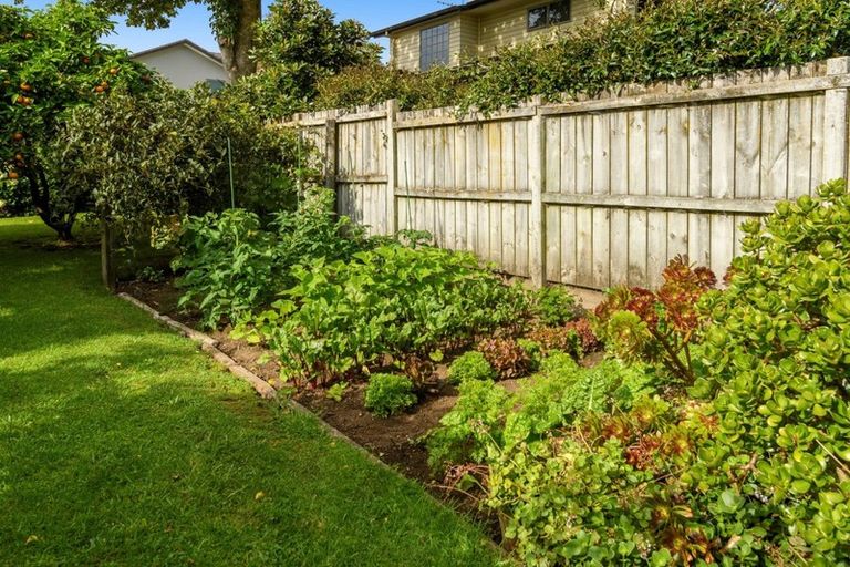 Photo of property in 17 Endeavour Avenue, Welcome Bay, Tauranga, 3112