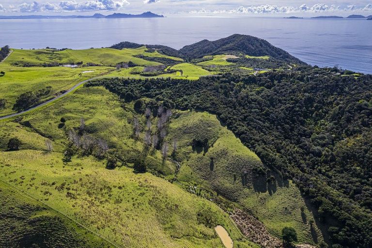 Photo of property in 12 Tuaraki Road, Mangawhai Heads, Mangawhai, 0505