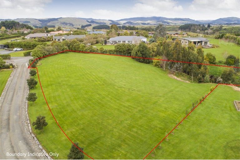 Photo of property in 61 Polson Hill Drive, Aokautere, 4471