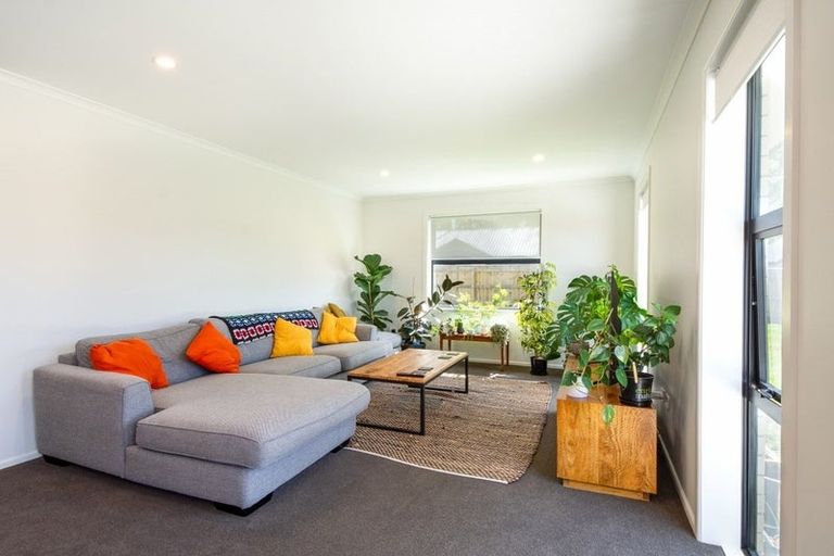 Photo of property in 84 Turnbull Drive, Witherlea, Blenheim, 7201