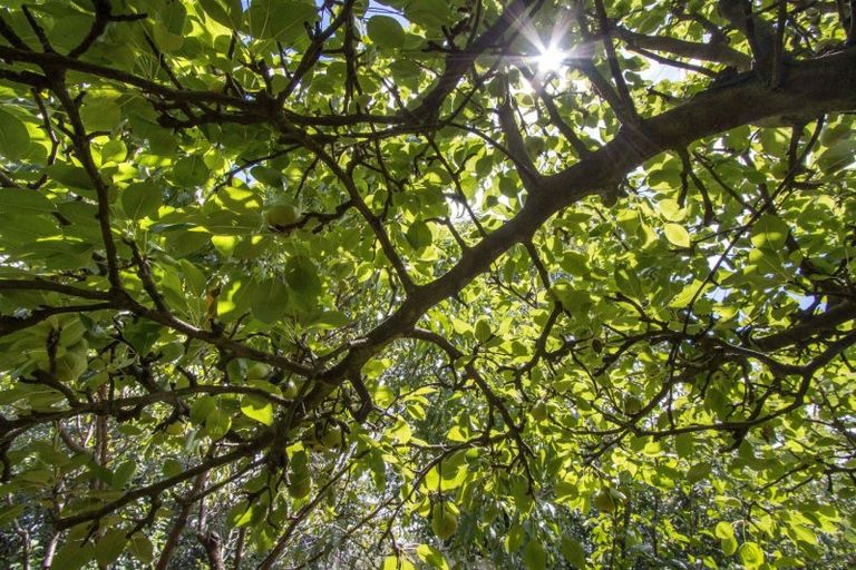 Photo of property in 10 Richmal Street, Waihi, 3610