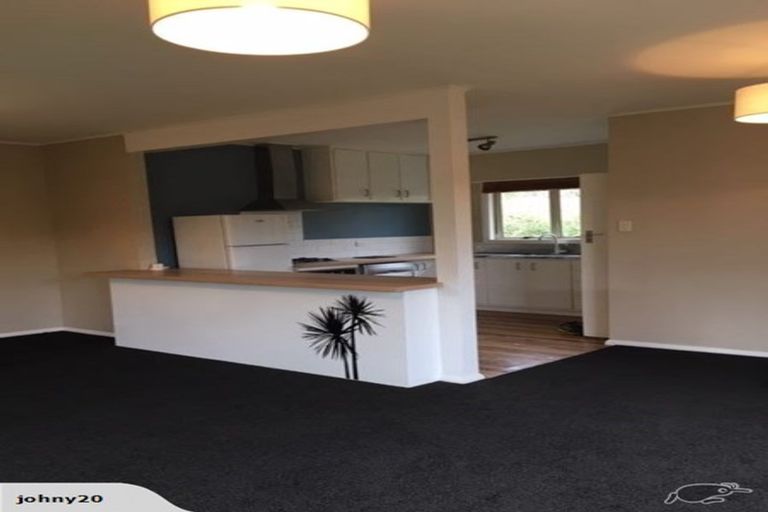 Photo of property in 8 Alison Street, Hamilton Lake, Hamilton, 3204