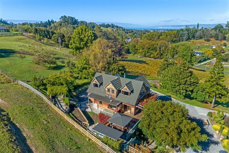 Photo of property in 224 Valley Road, Mangapapa, Gisborne, 4010