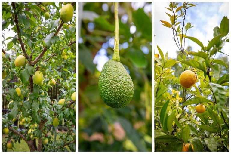 Photo of property in 373 Cambridge Road, Tauriko, Tauranga, 3110