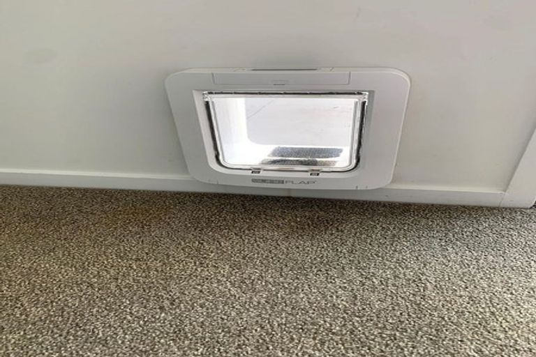 Photo of property in 8 Saltmarsh Road, Hobsonville, Auckland, 0616