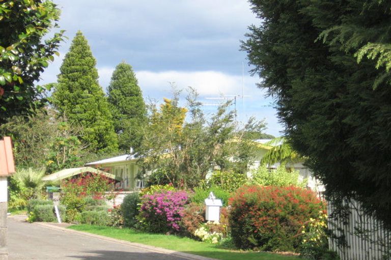 Photo of property in 181 Kingswood Road, Brookfield, Tauranga, 3110