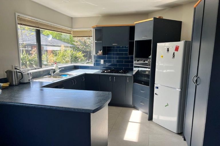 Photo of property in 48 Lowes Road, Rolleston, 7614