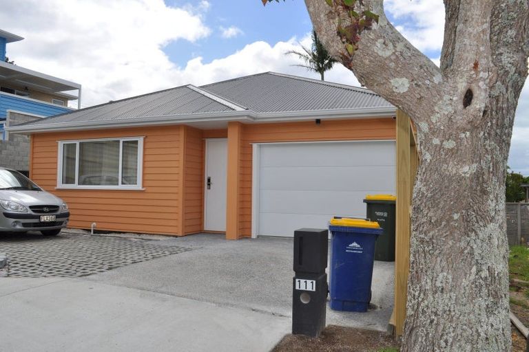 Photo of property in 111 Mountbatten Avenue, Hillcrest, Auckland, 0627