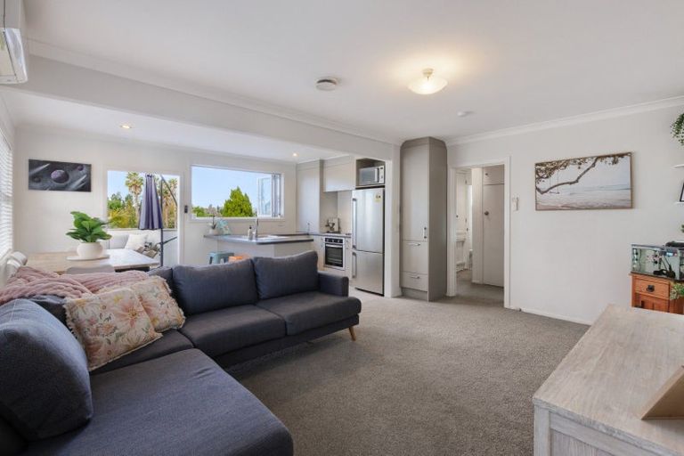 Photo of property in 3 Judea Road, Judea, Tauranga, 3110