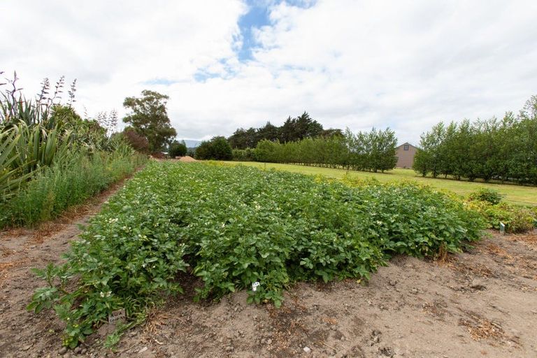 Photo of property in 41 Beckett Lane, Dannevirke, 4972