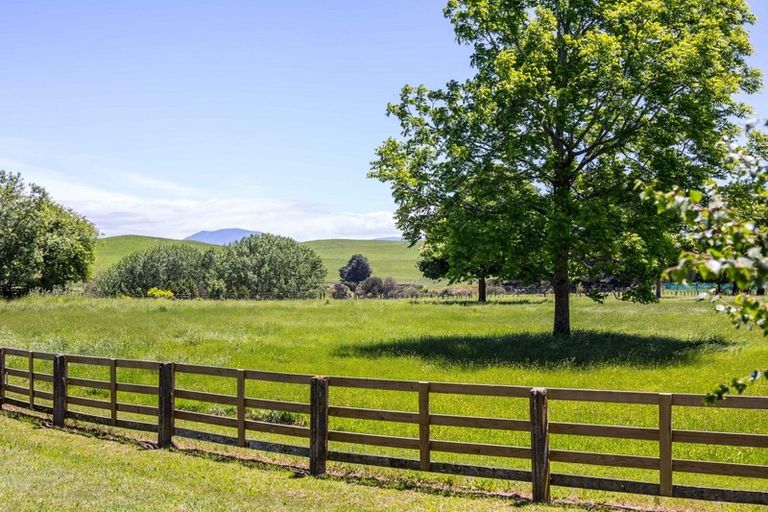 Photo of property in 414 Rakaiatai Road, Ormondville, Dannevirke, 4977