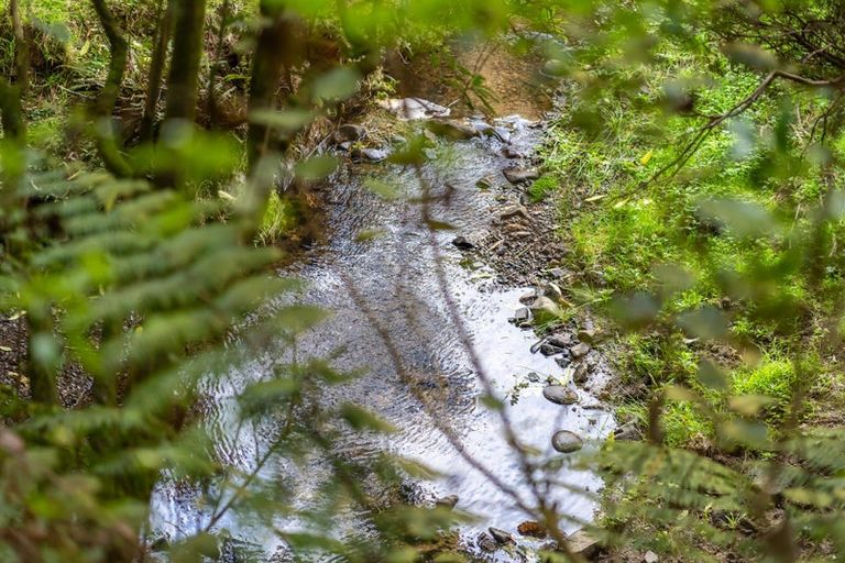 Photo of property in 105b Bradey Road, Pauatahanui, Porirua, 5381