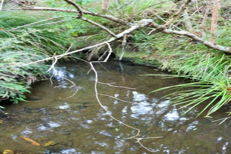 Photo of property in 1008 Tangowahine Valley Road, Tangowahine, Dargaville, 0372