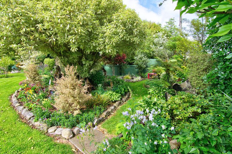 Photo of property in 115 Cockburn Street, Kuripuni, Masterton, 5810