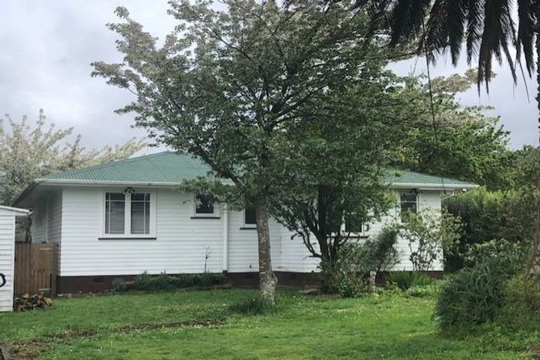 Photo of property in 48 Daniell Street, Featherston, 5710
