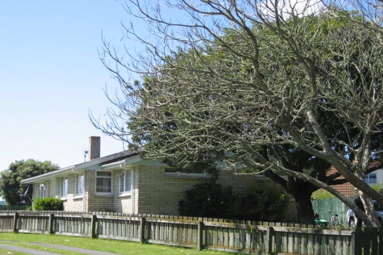 Photo of property in 4 Graham Place, Huntly, 3700