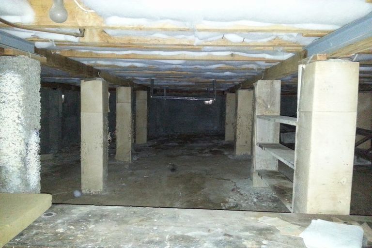 Photo of property in 225 Pine Hill Road, Dalmore, Dunedin, 9010