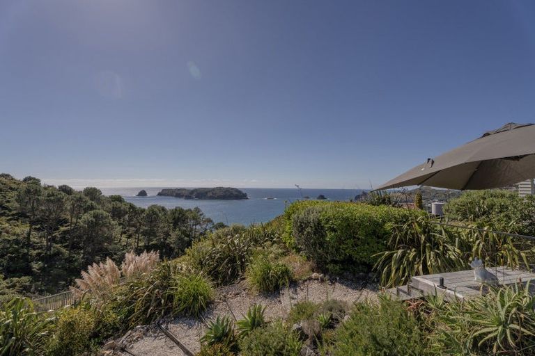 Photo of property in 77 Grange Road, Hahei, Whitianga, 3591