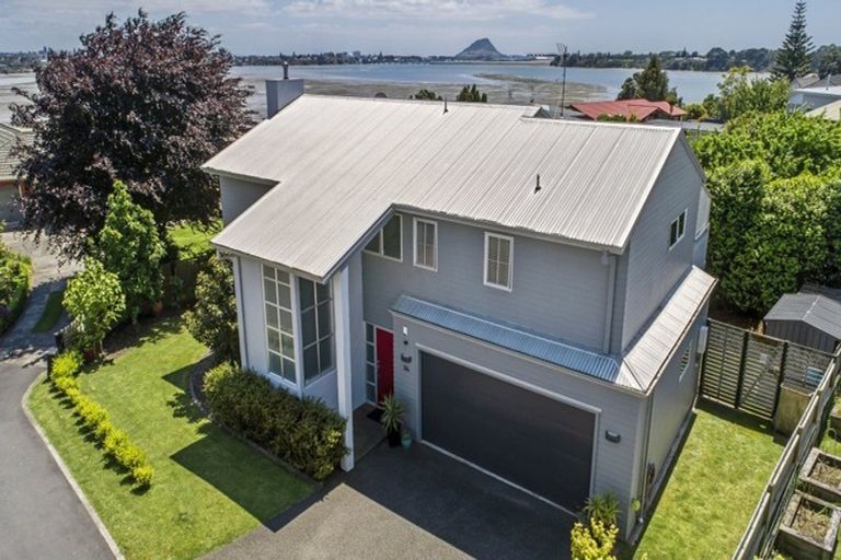 Photo of property in 334b Maungatapu Road, Maungatapu, Tauranga, 3112