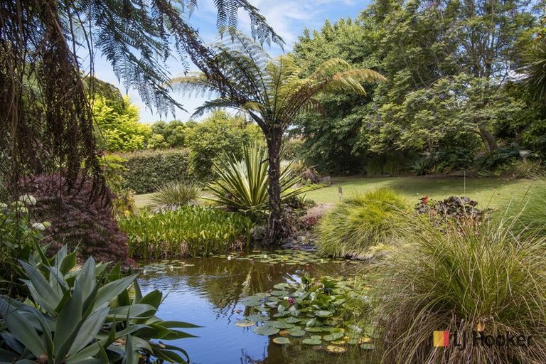 Photo of property in 72 Koutunui Road, Athenree, Katikati, 3177