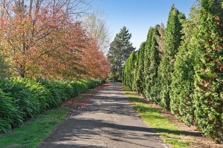 Photo of property in 404 Upper Plain Road, Upper Plain, Masterton, 5888