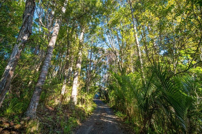 Photo of property in 341 Kanohi Road, Kaukapakapa, 0873