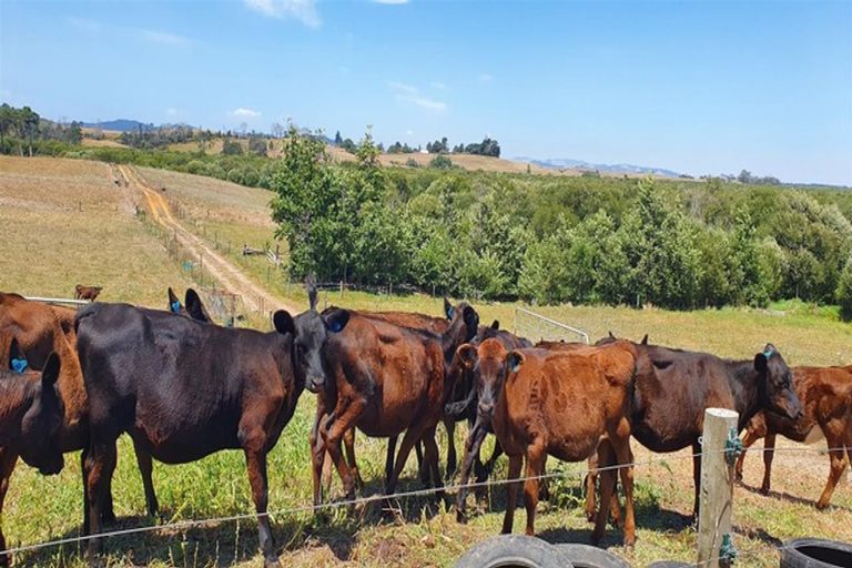 Photo of property in 218 Island Block Road, Island Block, Te Kauwhata, 3782