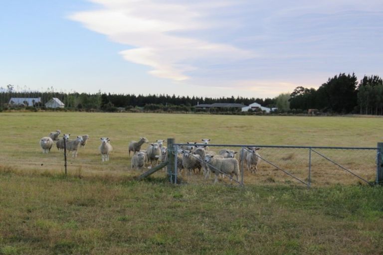 Photo of property in 202 Rakaia Barrhill Methven Road, Rakaia, 7784