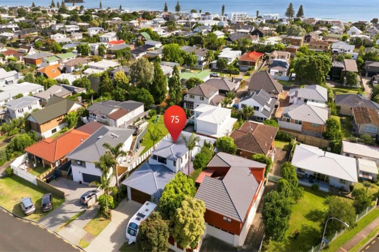 Photo of property in 75 Campbell Road, Mount Maunganui, 3116