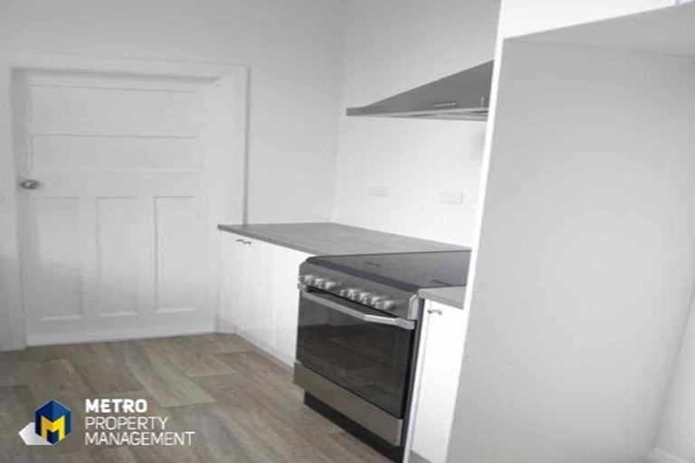 Photo of property in 4 Falcon Street, Roslyn, Dunedin, 9010