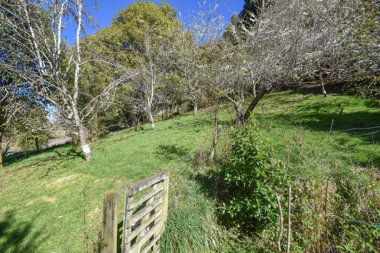 Photo of property in 4a Ronay Street, Bradford, Dunedin, 9011