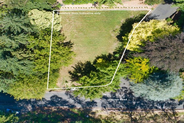 Photo of property in 84 Tauroa Road, Havelock North, 4130