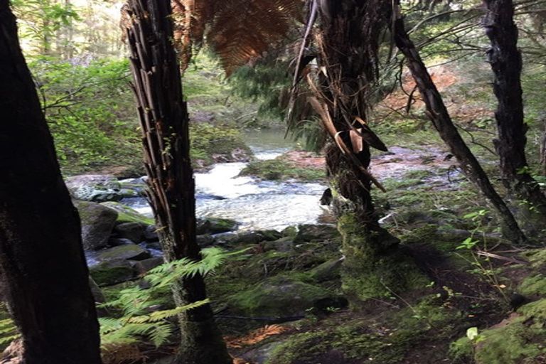 Photo of property in 450 Puketotara Road, Waipapa, 0295