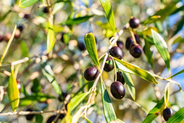 Photo of property in 159 Robert Hastie Drive, Mangawhai, 0573