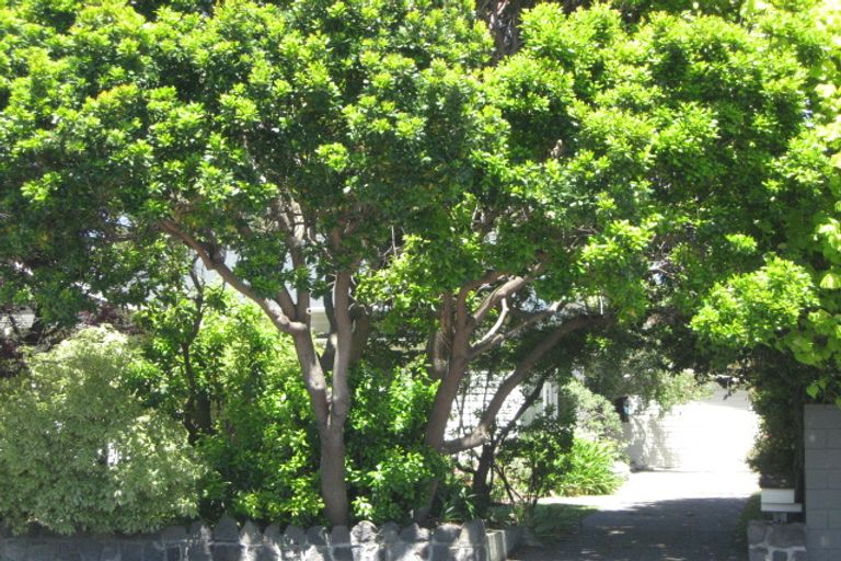 Photo of property in 37 Selwyn Street, Somerfield, Christchurch, 8024