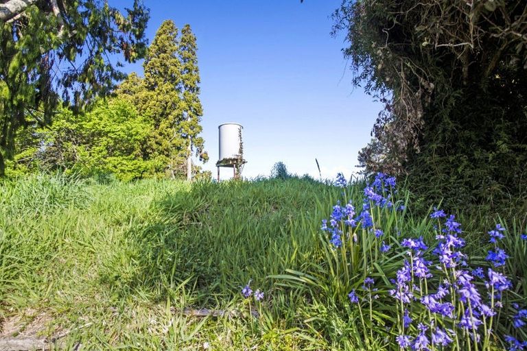 Photo of property in 356 Omanawa Road, Omanawa, Tauranga, 3171