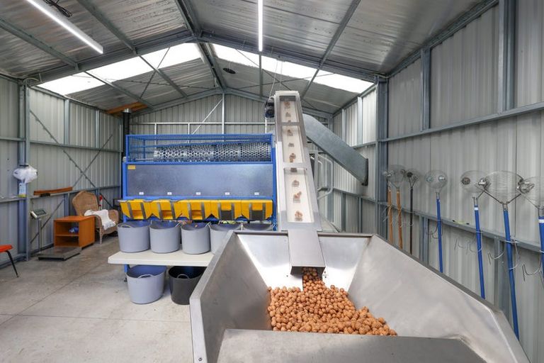 Photo of property in 60 Golden Hills Road, Appleby, Richmond, 7081