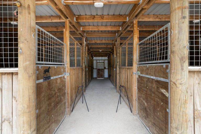 Photo of property in 221 Waitao Road, Waitao, Tauranga, 3175